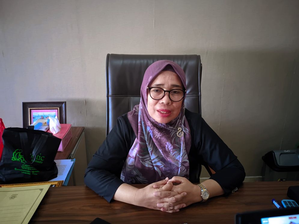 Plt Kepala Diskes Kota Bandar Lampung Desti Mega Putri 