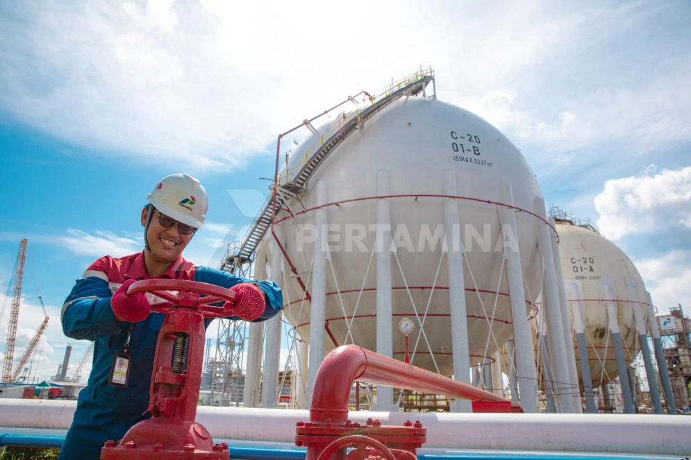 Pertamina berusaha menggaet investor asing untuk berpartisipasi dalam proyek-proyek infrastruktur energi ramah lingkungan guna mendukung visi Indonesia dalam transisi energi berkelanjutan.