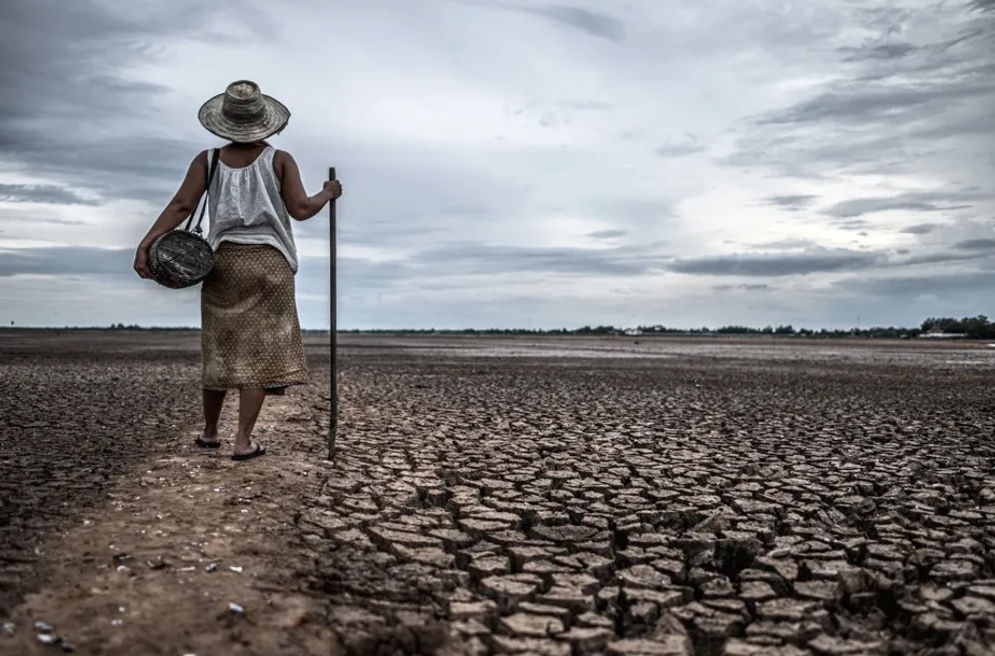 International Monetary Fund (IMF) memerkirakan kerugian ekonomi akibat ancaman krisis iklim di kawasan ASEAN mencapai US$100 miliar atau setara Rp1,53 kuadriliun per tahun