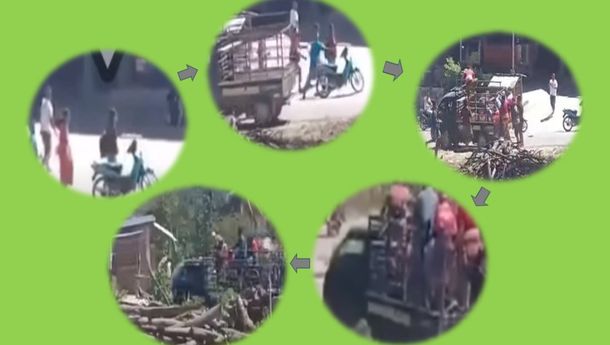 GEPPRAK Maumere Mengutuk Keras Praktik Piti Rambang di Pulau Sumba