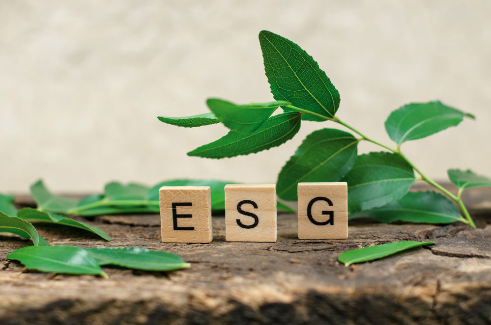 implementasi ESG