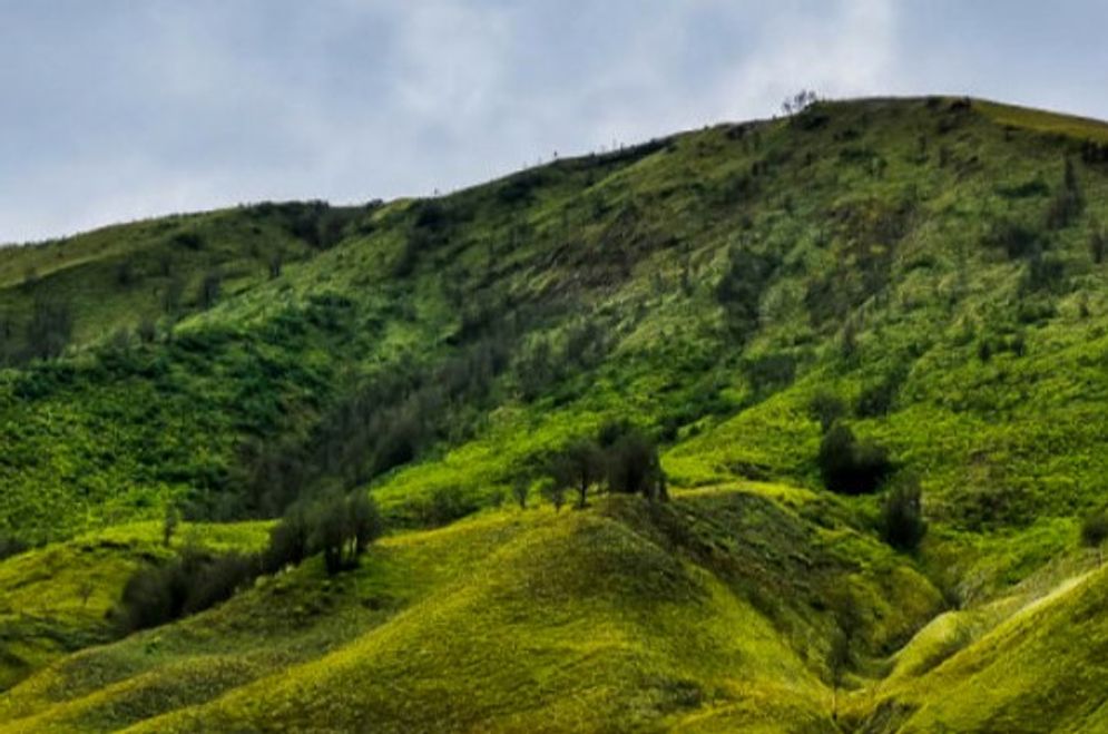 Bukit Teletubbies 