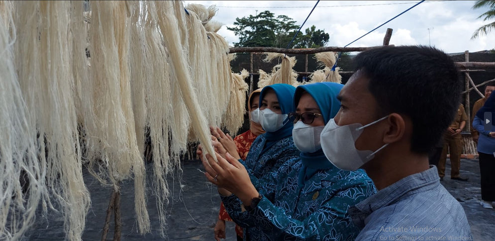 Malaysia Jajaki Investasi Hilirisasi Serat Nanas Prabumulih