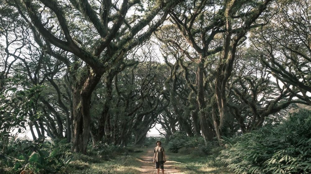 Mantap! Ijen Geopark Resmi Dikukuhkan Jadi Bagian UNESCO Global Geopark