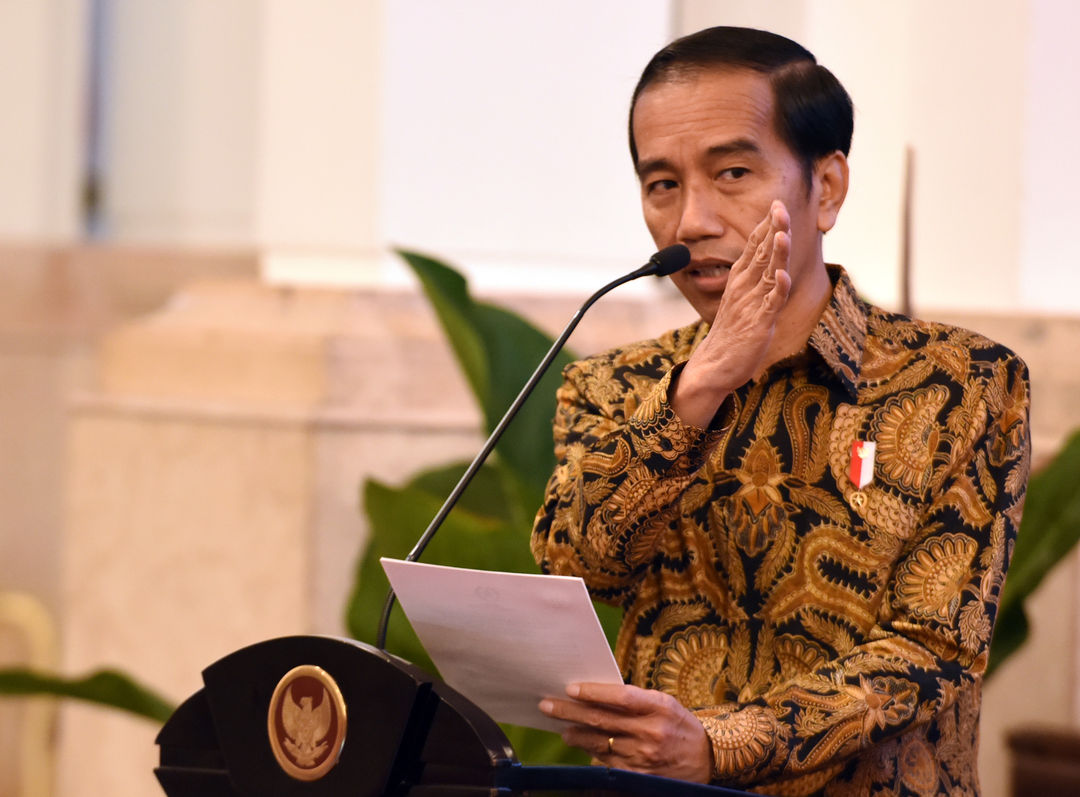 Presiden Joko Widodo (Jokowi) (Foto: Sekretariat Kabinet)