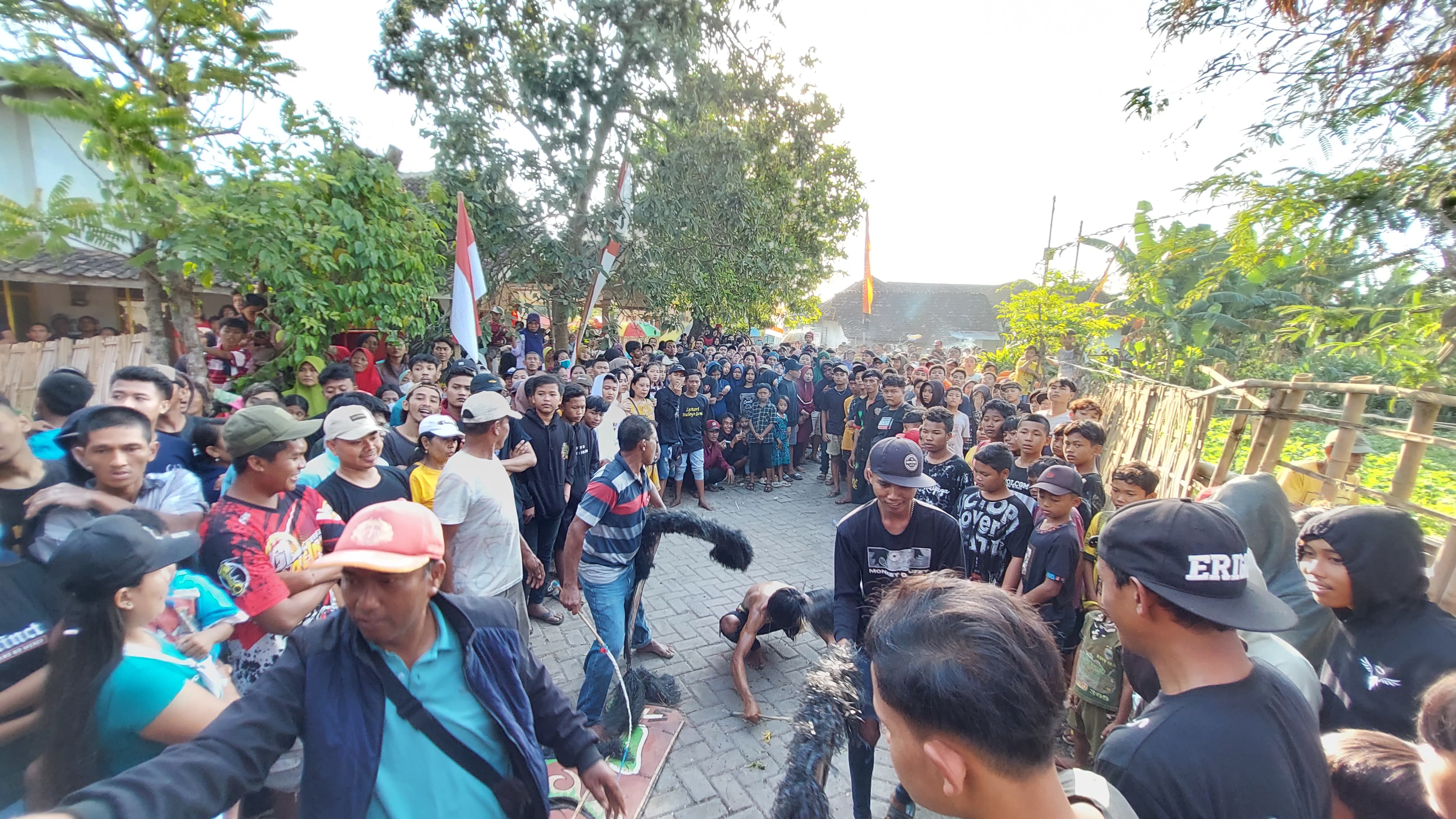 Aksi Pertunjukan Kuda Lumping di Jember Sedot Ribuan Warga Saat Rayakan Kegiatan Ini