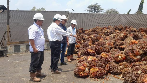 Tim Sinergis, Kunci PKS PTPN VII Bekri Raih Predikat Terbaik