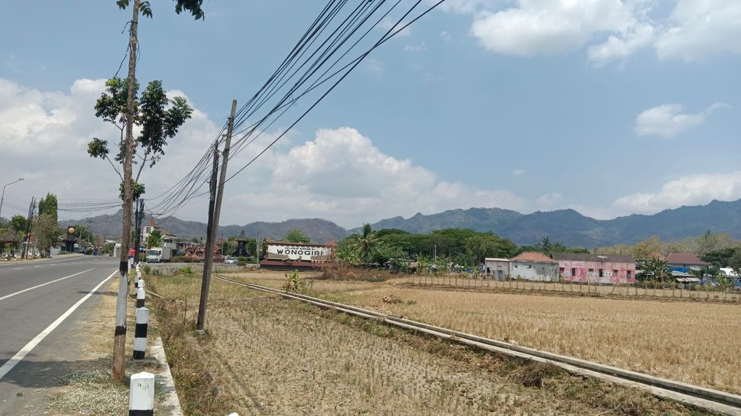 Lahan sawah di Wonogiri mengering.