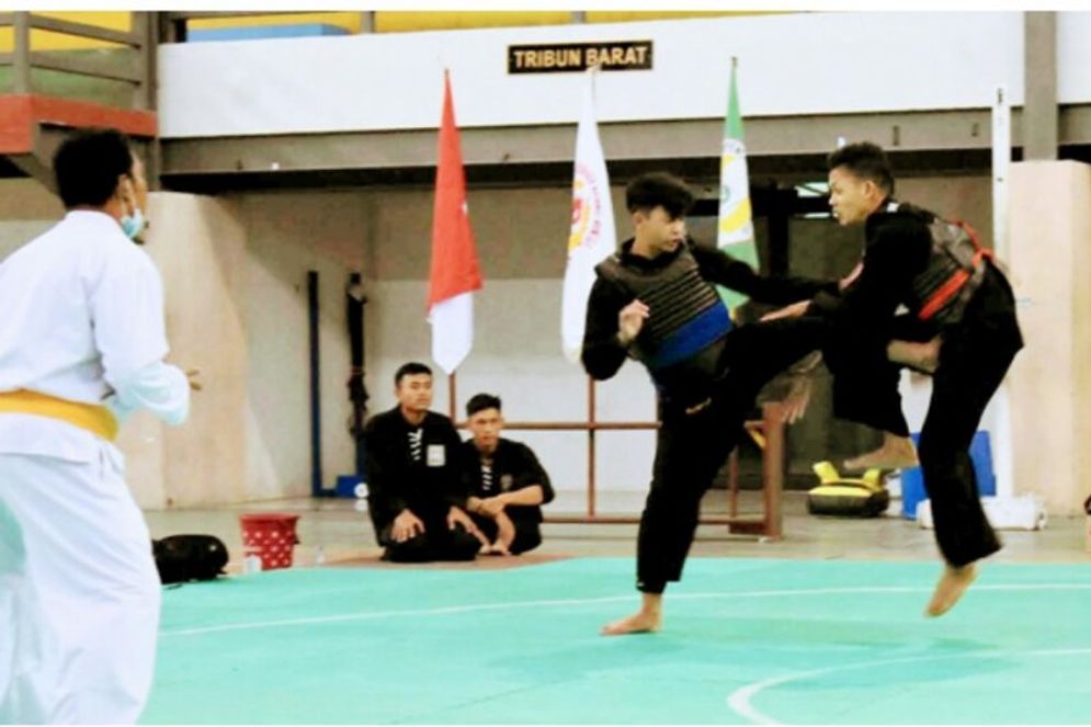 Pada babak kualifikasi Pra PON Solo Cabor Pencak Silat berhasil meraih 10 medali. 