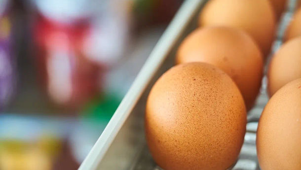 6 Makanan dengan Kandungan Protein Lebih Tinggi dari Telur