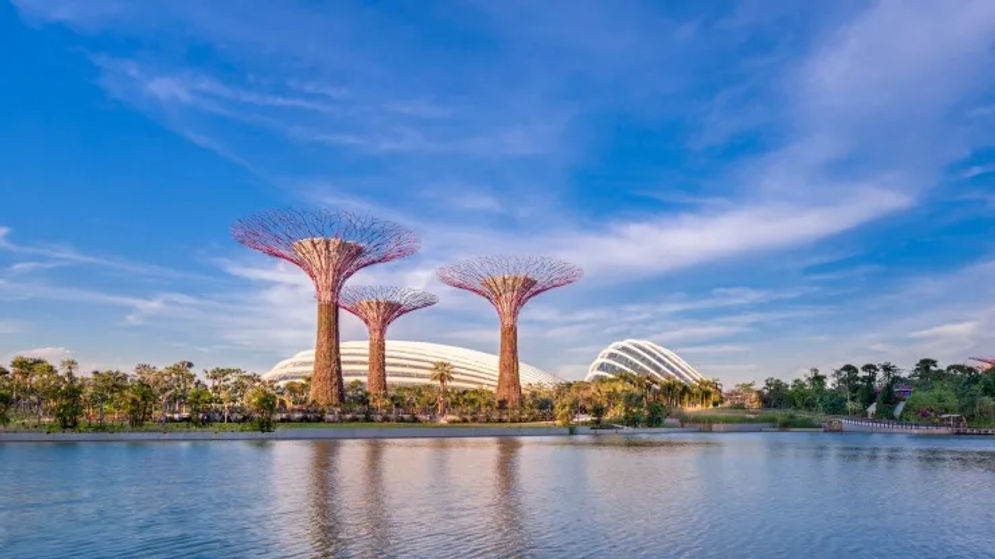 Gardens by the Bay adalah taman kota futuristik yang menakjubkan di Singapura. 