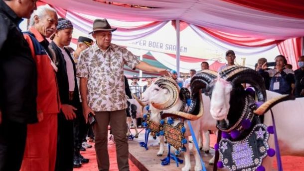 MenKopUKM Tekankan Pentingnya Konsep Bisnis bagi Peternak Domba dan Kambing