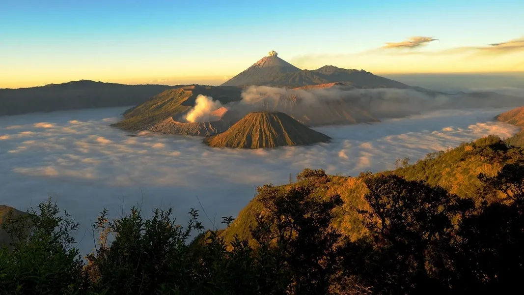 Perlu Puluhan Tahun dalam Pemulihan Ekosistem Bromo