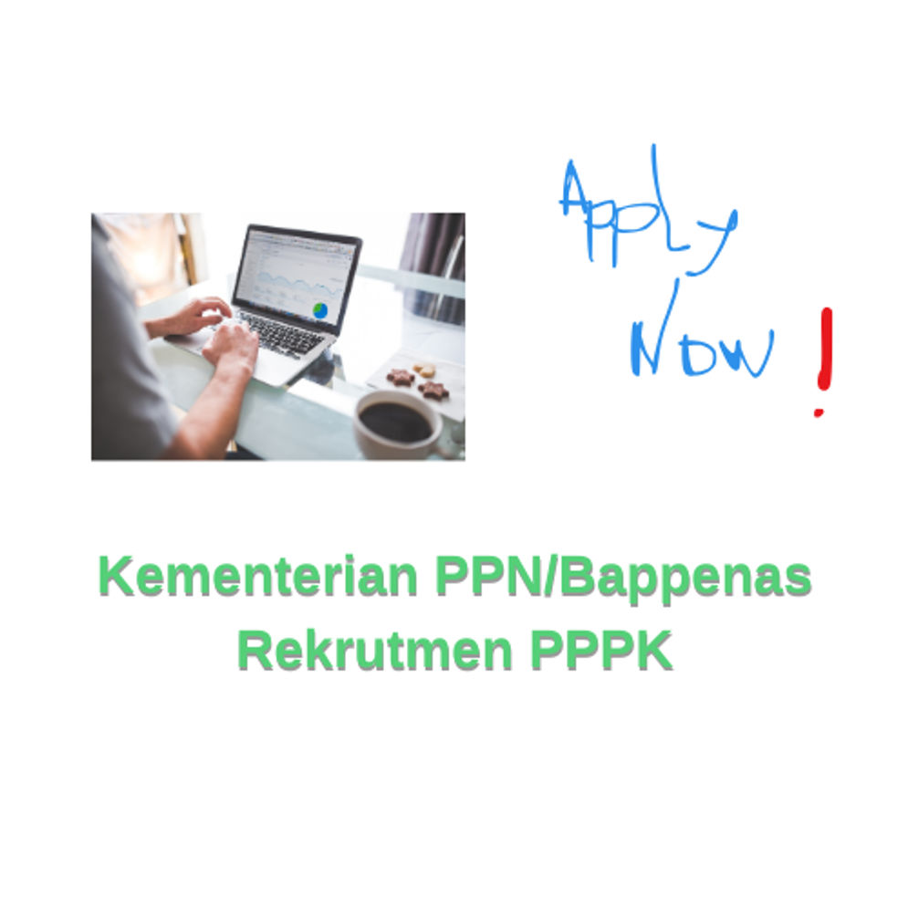 Ayo Apply Segera, Kementerian PPN/Bappenas Buka 533 Formasi PPPK Disediakan juga untuk Penyandang Disabilitas