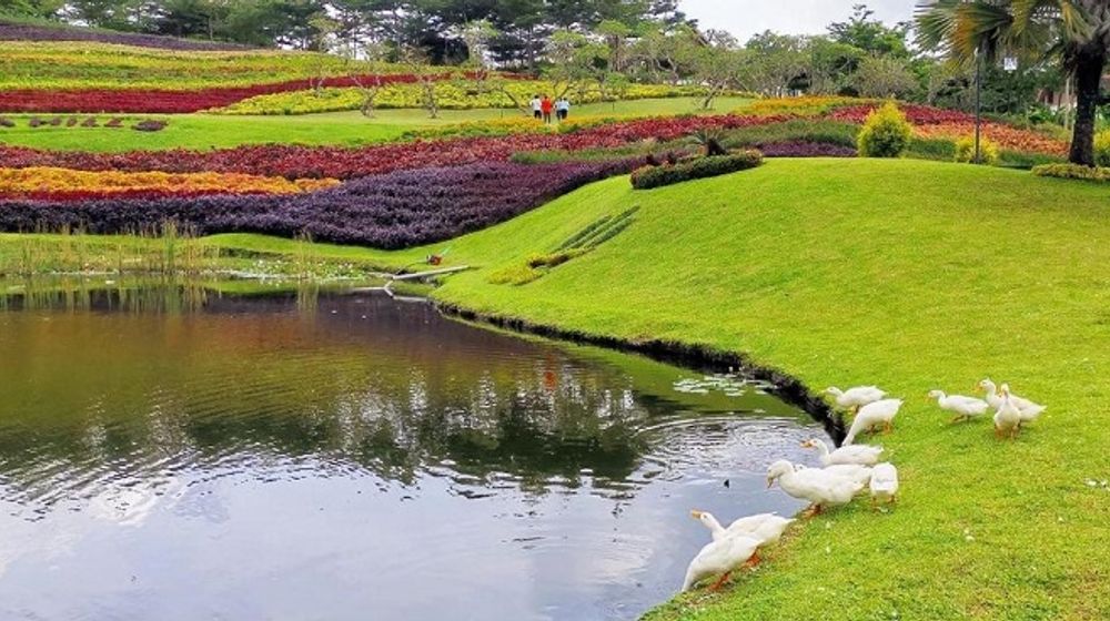 Taman Vilama Hills.jpg