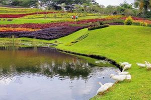 Taman Vilama Hills.jpg