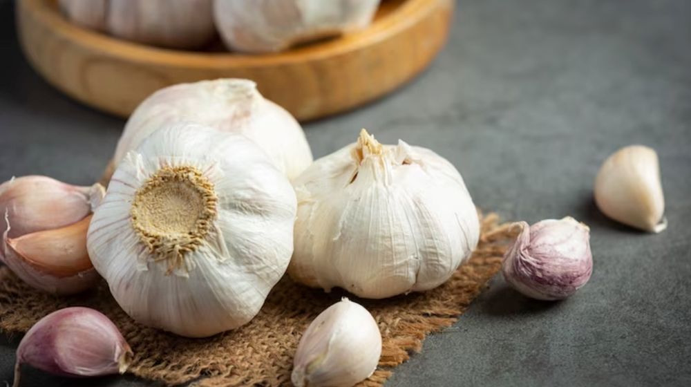 Ilustrasi Bawang Putih