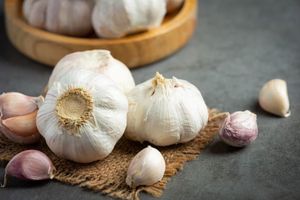 Ilustrasi Bawang Putih