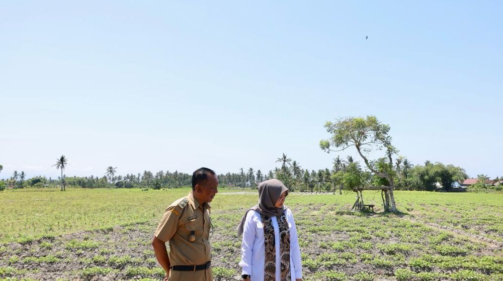 Strategi Jaga Produksi Pangan Akibat El Nino, Pemkab Banyuwangi Pantau Debit Air Irigrasi