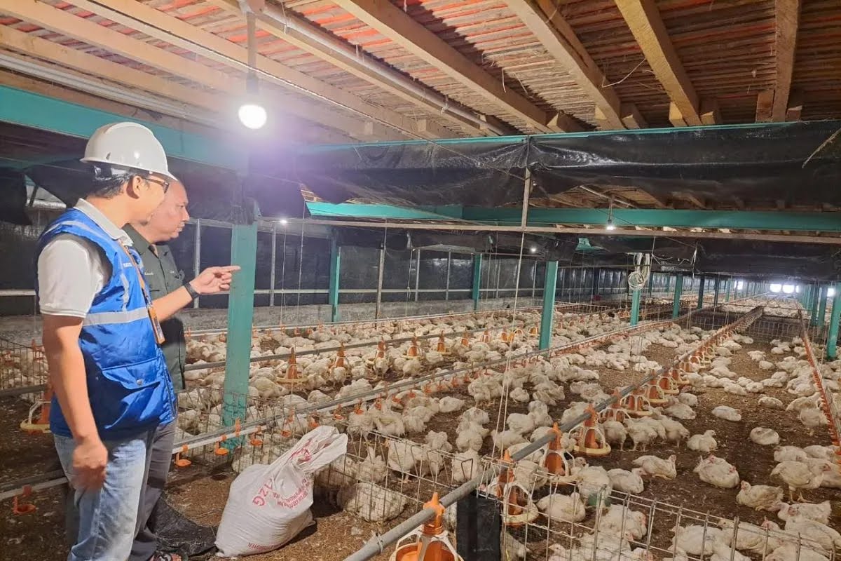 Pertanian Modern Berbasis Listrik Berkembang, Program Electrifying Agriculture PLN Tumbuh 22,28 Persen