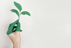 apa-dan-bagaimana-greenwashing.jpeg