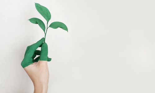 apa-dan-bagaimana-greenwashing.jpeg