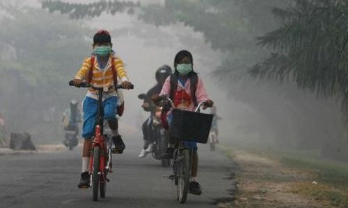 asap-abu-pembakaran-hutan-makin-bahayakan-warga-dumai-riau-1.jpg