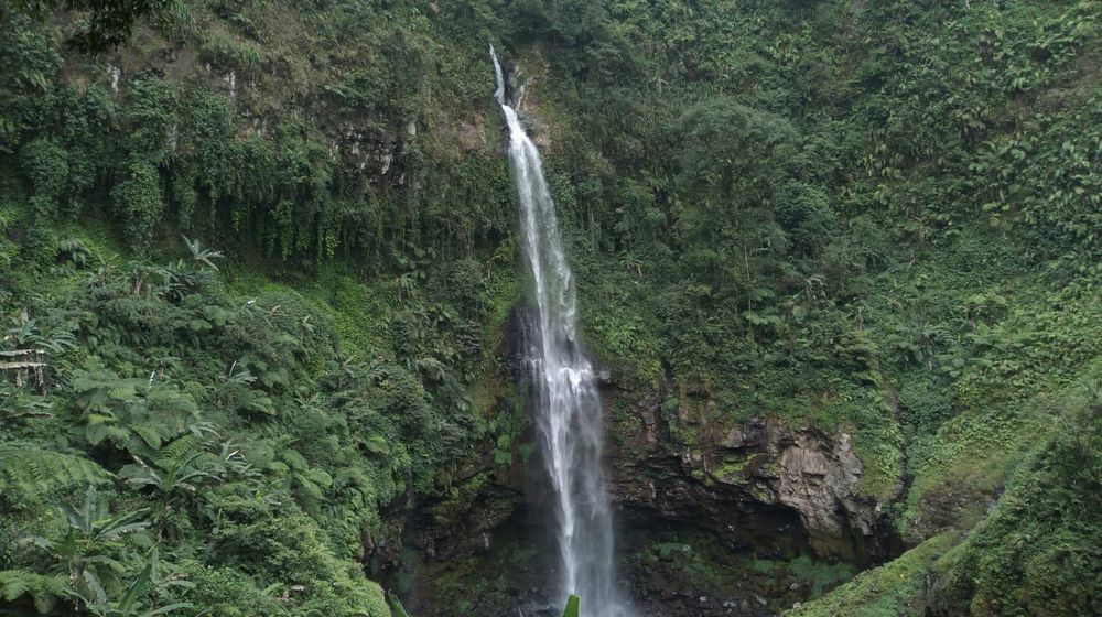 WhatsApp Image 2023-10-05 at 18.37.46.jpeg