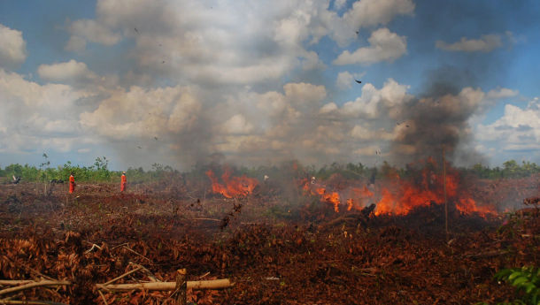 Tanggap Darurat Karhutla 10 Hari, Kalteng Siapkan Dana Rp110 Miliar