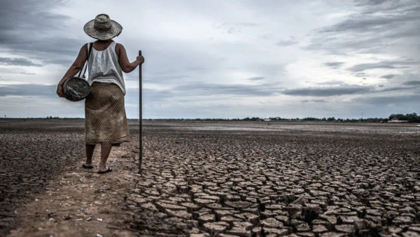 Studi Yale: Masyarakat Indonesia Masih Ketergantungan Pemerintah Atasi Perubahan Iklim