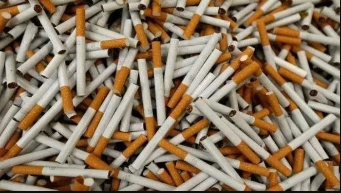 Ilustrasi rokok tembakau. (Foto:Istimewa)