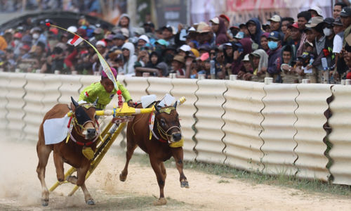 Komitmen Lestarikan Budaya, Pemprov Jatim Gelar Karapan Sapi Khas Madura