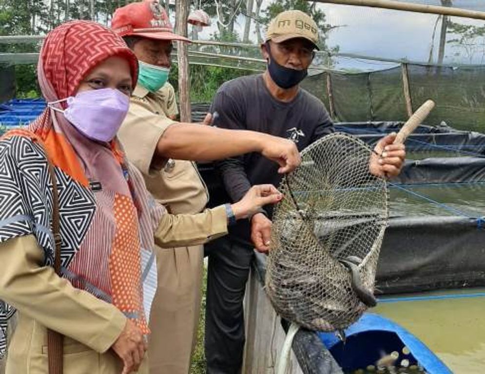 ikan temanggung.jpeg