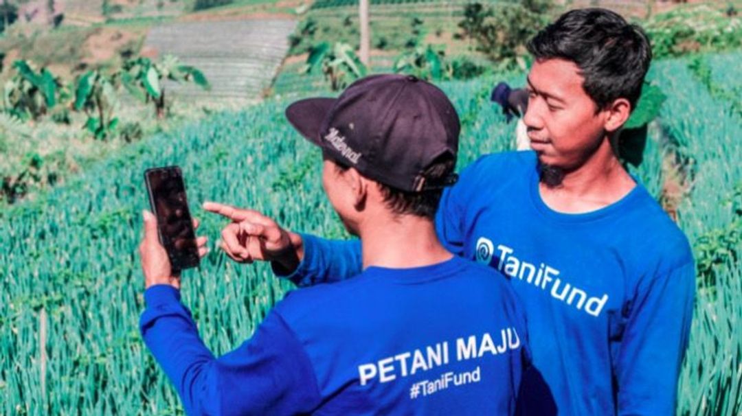 Profil TaniFund, Pinjol dengan Kredit Macet Tertinggi 