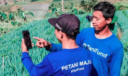 Profil TaniFund, Pinjol dengan Kredit Macet Tertinggi 