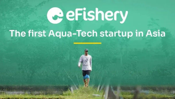 Startup Akuakultur eFishery Asal Bandung Ekspansi ke India