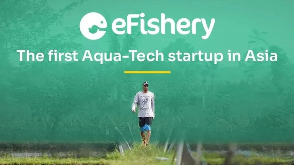 Startup teknologi akuakultur pertama di Indonesia asal Bandung, eFishery lakukan ekspansi ke India dengan perkenalkan teknologi pemberian pakan ternak otomatis. 