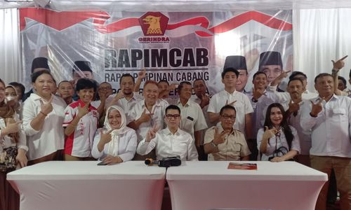 rapimcab.jpeg