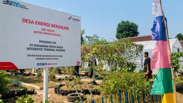 Menilik Berkah Kotoran Sapi, Ciptakan Berdikari Energi dan Ekonomi dari Hulu ke Hilir