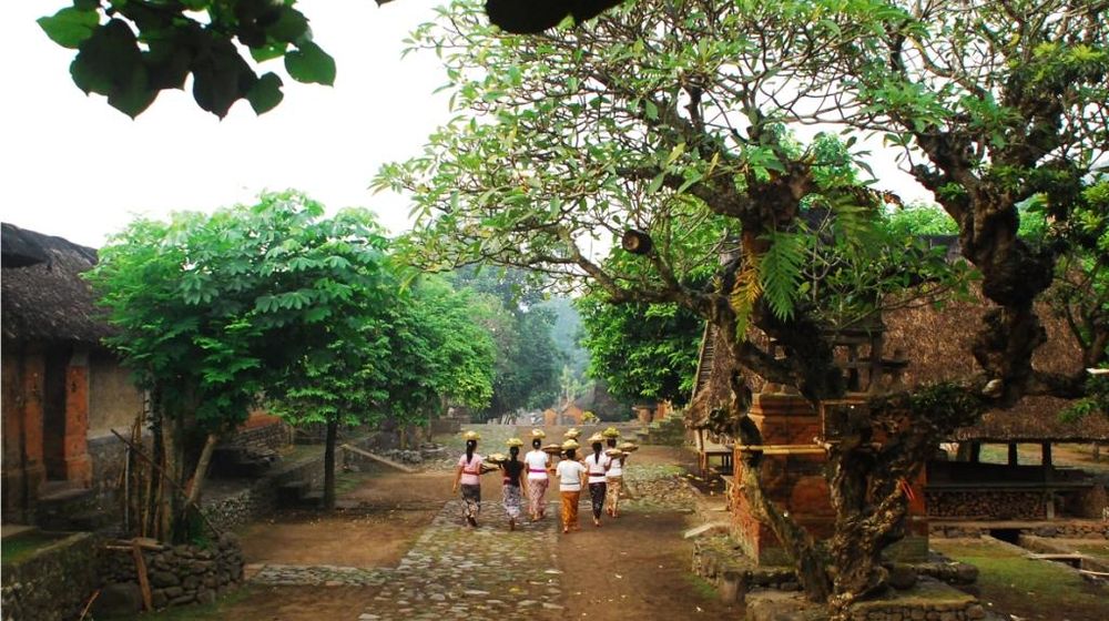 Unik! Desa Wisata Di Bali Ini Tidak Memiliki Akomodasi Wisata 