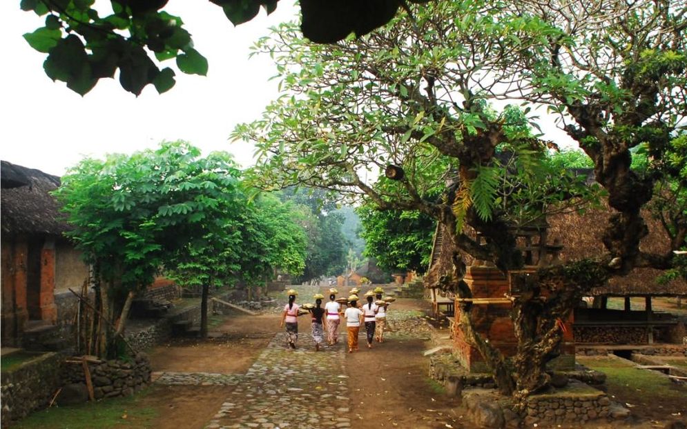 Unik! Desa Wisata Di Bali Ini Sangat Asri Tidak Memiliki Akomodasi Wisata 