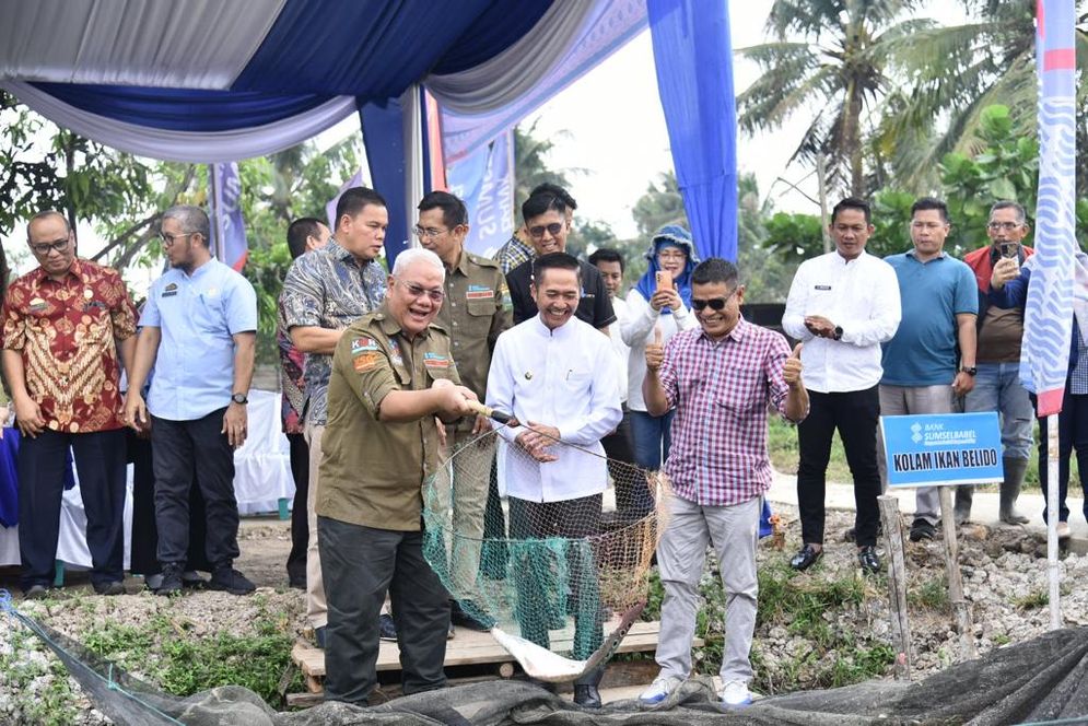 Panen Raya Ikan Belida Thailand, Belida Sungai Musi Dilindungi