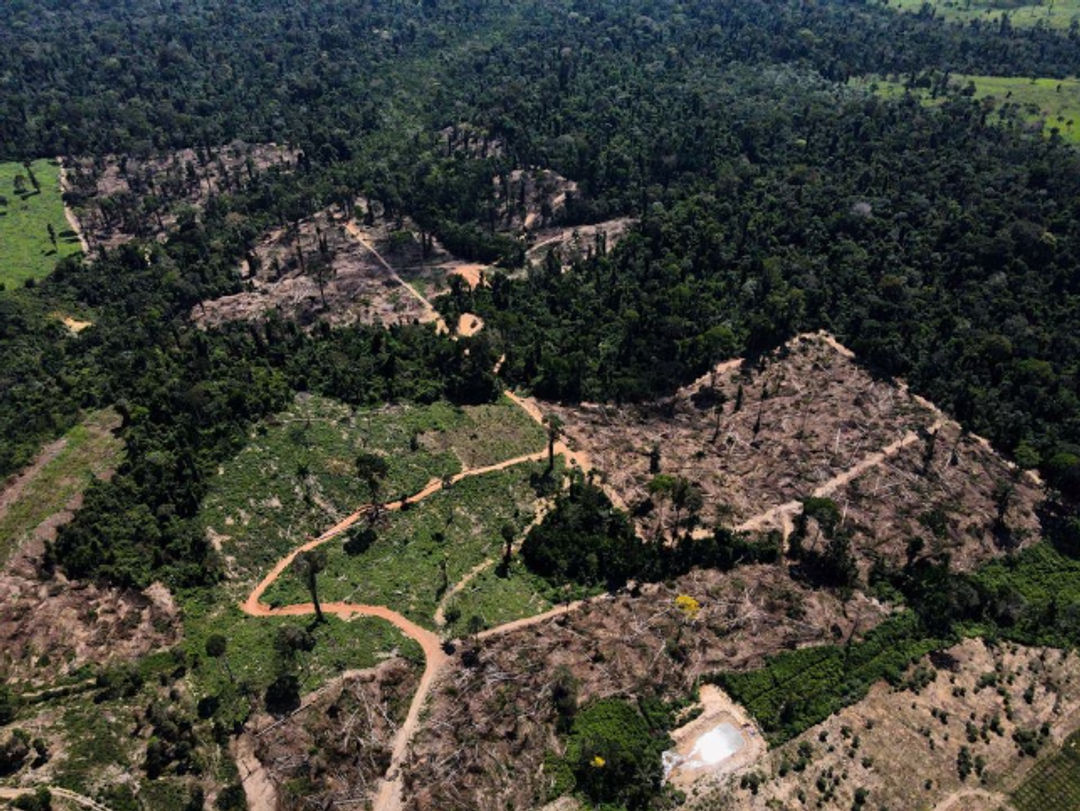 Sebuah Pemandangan Memperlihatkan Kawasan Gundul di Tengah Hutan Amazon (Reuters/Bruno Kelly)