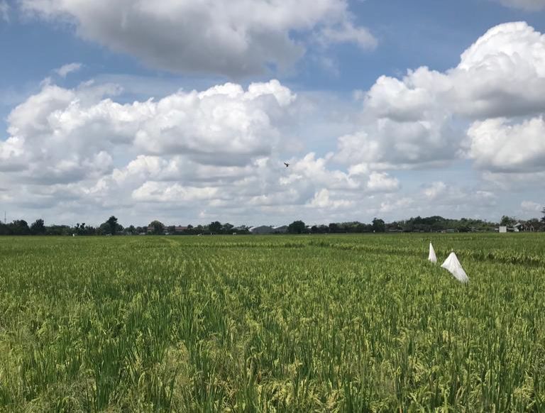 Latih Petani Muda, Kecamatan Loa Kulu Harapkan Kolaborasi  