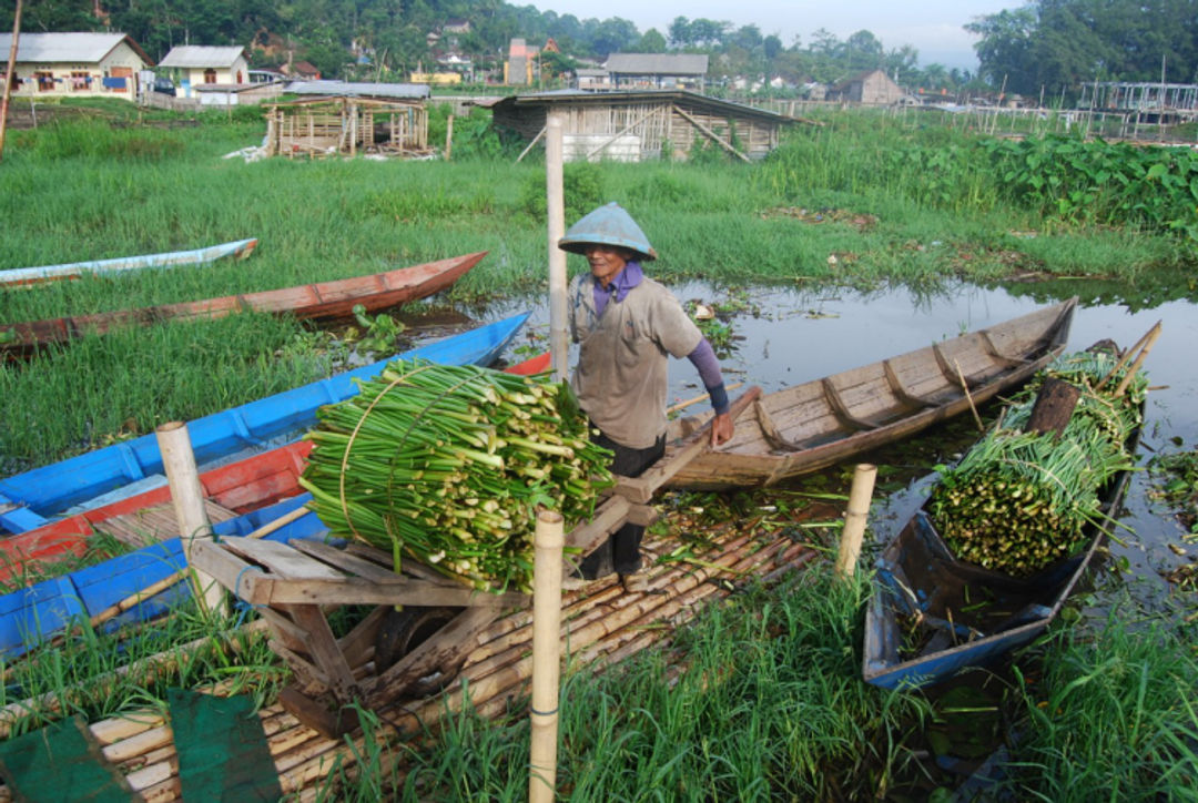 Perajin Eceng Gondok di Desa Rowoboni, Kecamatan Banyubiru, Kabupaten Semarang.