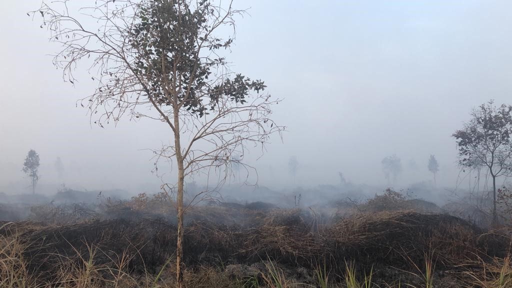 Kebakaran Hutan dan Lahan (Foto: Kementerian Lingkungan Hidup dan Kehutanan)