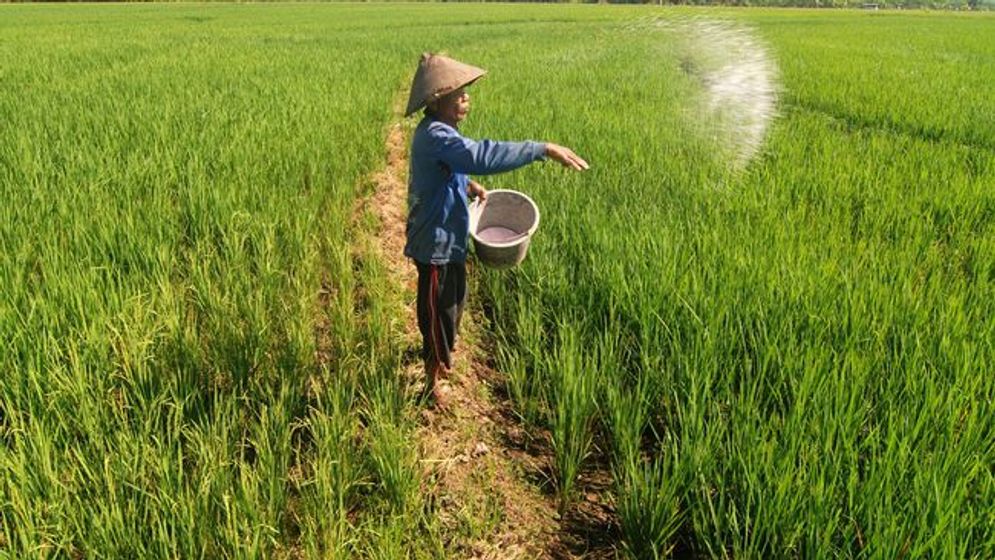 Petani Cukup Memakai KTP untuk Mendapatkan Pupuk 