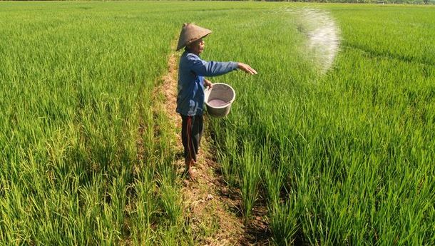 Petani Hanya Cukup Pakai KTP untuk Dapatkan Pupuk Subsidi