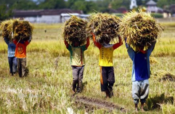 Desa Rapak Lembur Terpilih Jadi Lokus Pondok Pangan Etam (Foto istimewa)