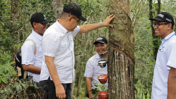 Langkah Strategi PTPN VII Ciptakan Tanaman Karet Berkualitas Bebas dari Virus Pestalo